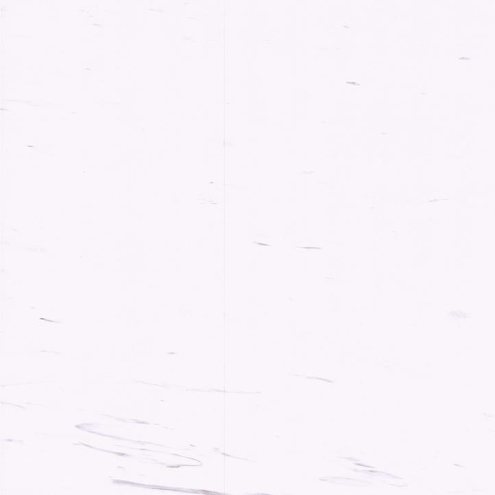 Neue Mine Arison White