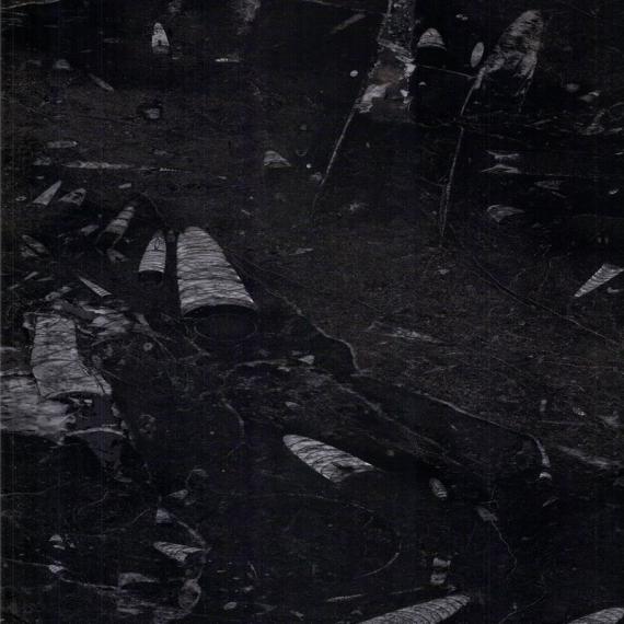 Bestes Baumaterial für braune Marmorplatten