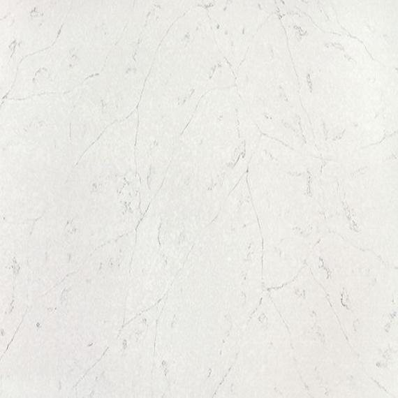 Quarz mit fossilhaltigem Muster und Textur