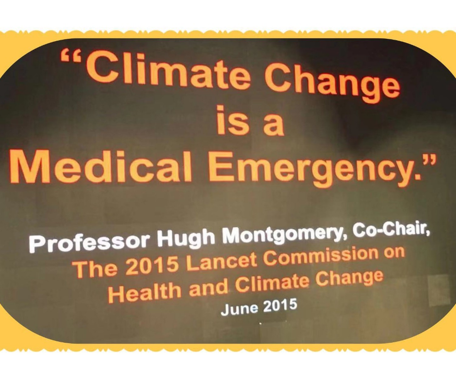 Angelas Beobachtungen. Klimarealität: Gestaltung für ein sich änderndes Klima und Landwirtschaft – Einbeziehung der städtischen Landwirtschaft Modernes Architekturdesign